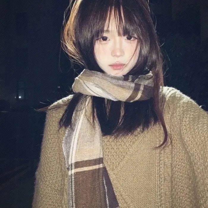 少年天子